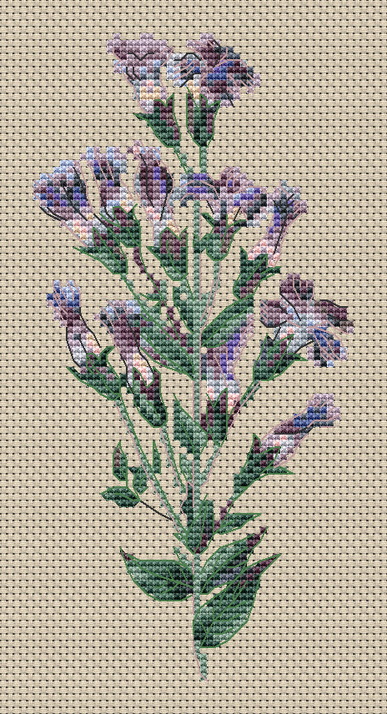 Floragenius Cross Stitch Kits - Gentiana Crinita by Clarissa Badger