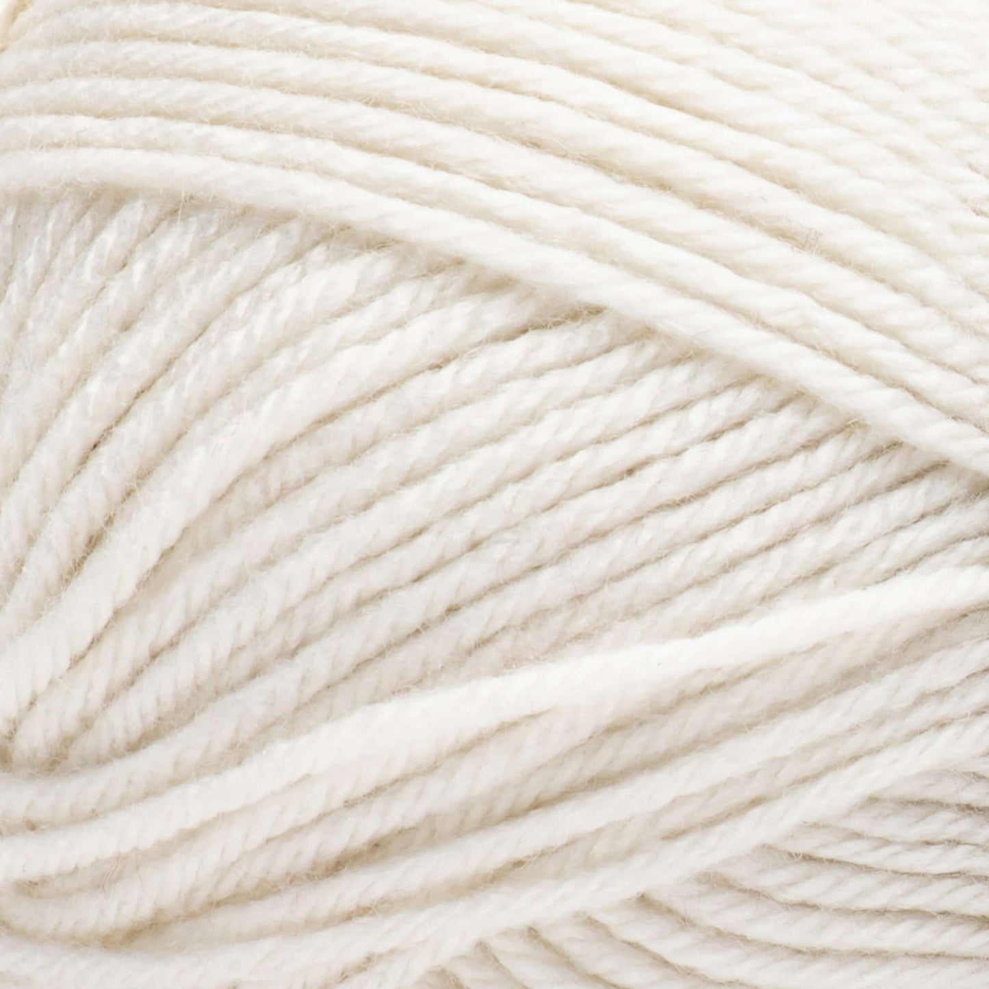 2 Ball Pack Bernat Fabwoolous Aran Yarn 160g