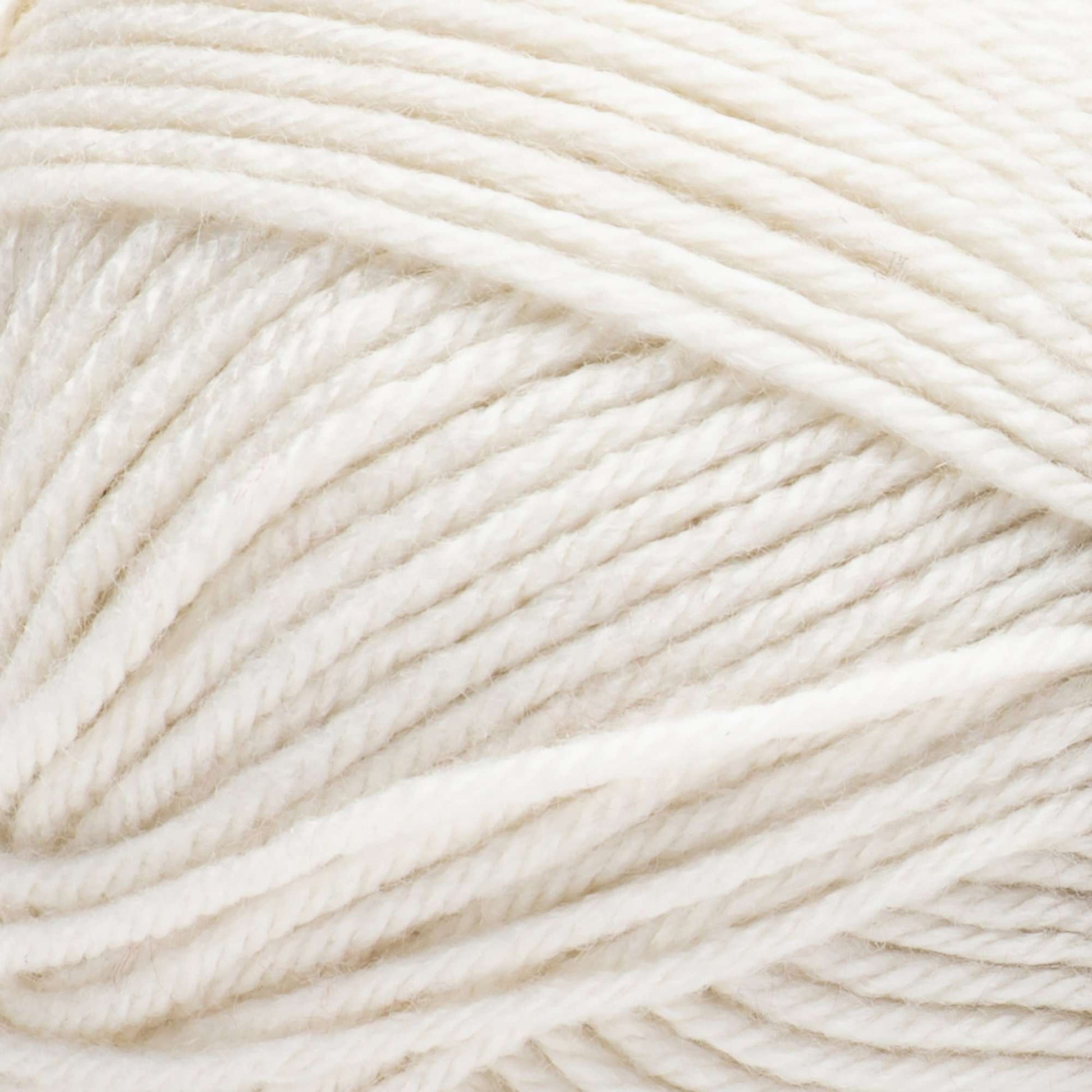 2 Ball Pack Bernat Fabwoolous Aran Yarn 160g