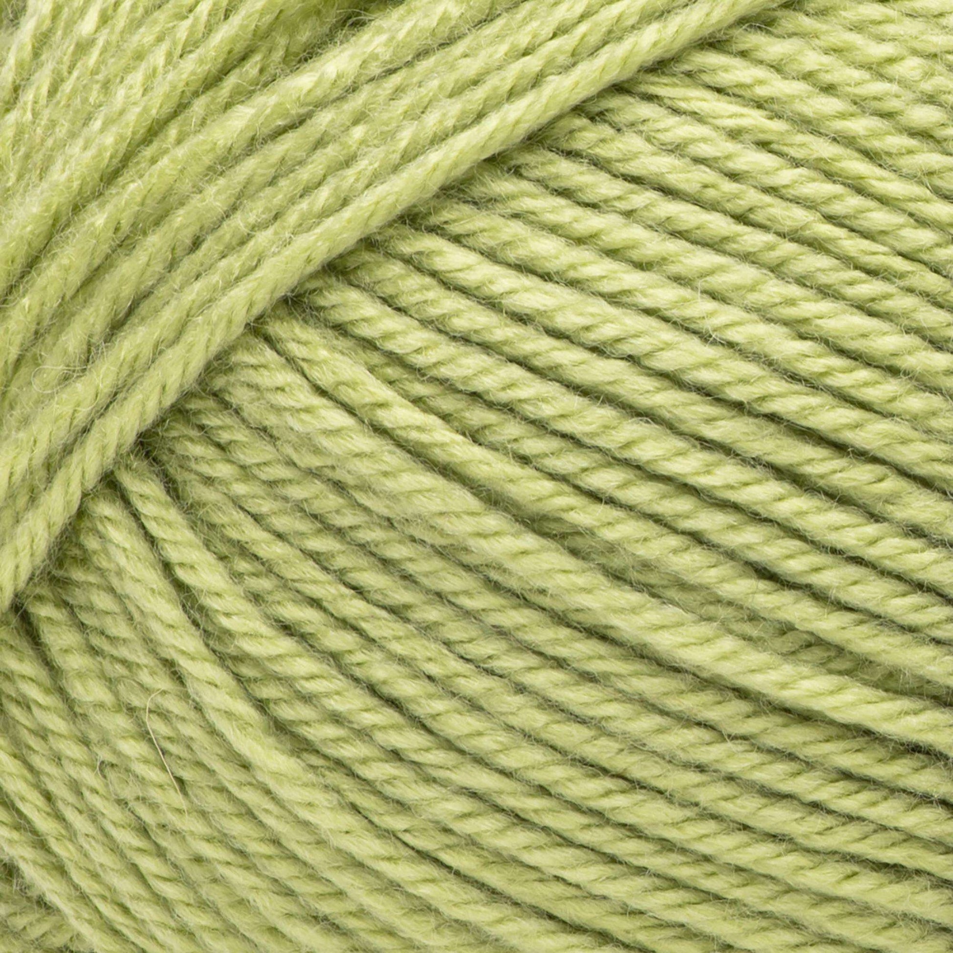 Bernat Fabwoolous Aran Yarn 160g