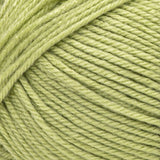 2 Ball Pack Bernat Fabwoolous Aran Yarn 160g