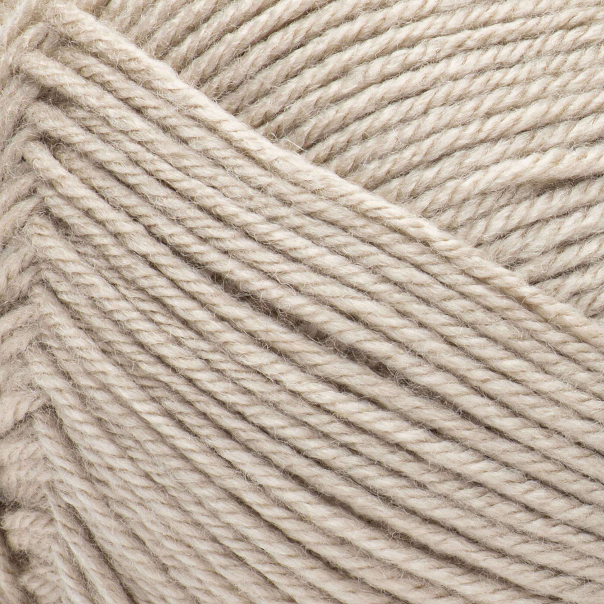 Bernat Fabwoolous Aran Yarn 160g