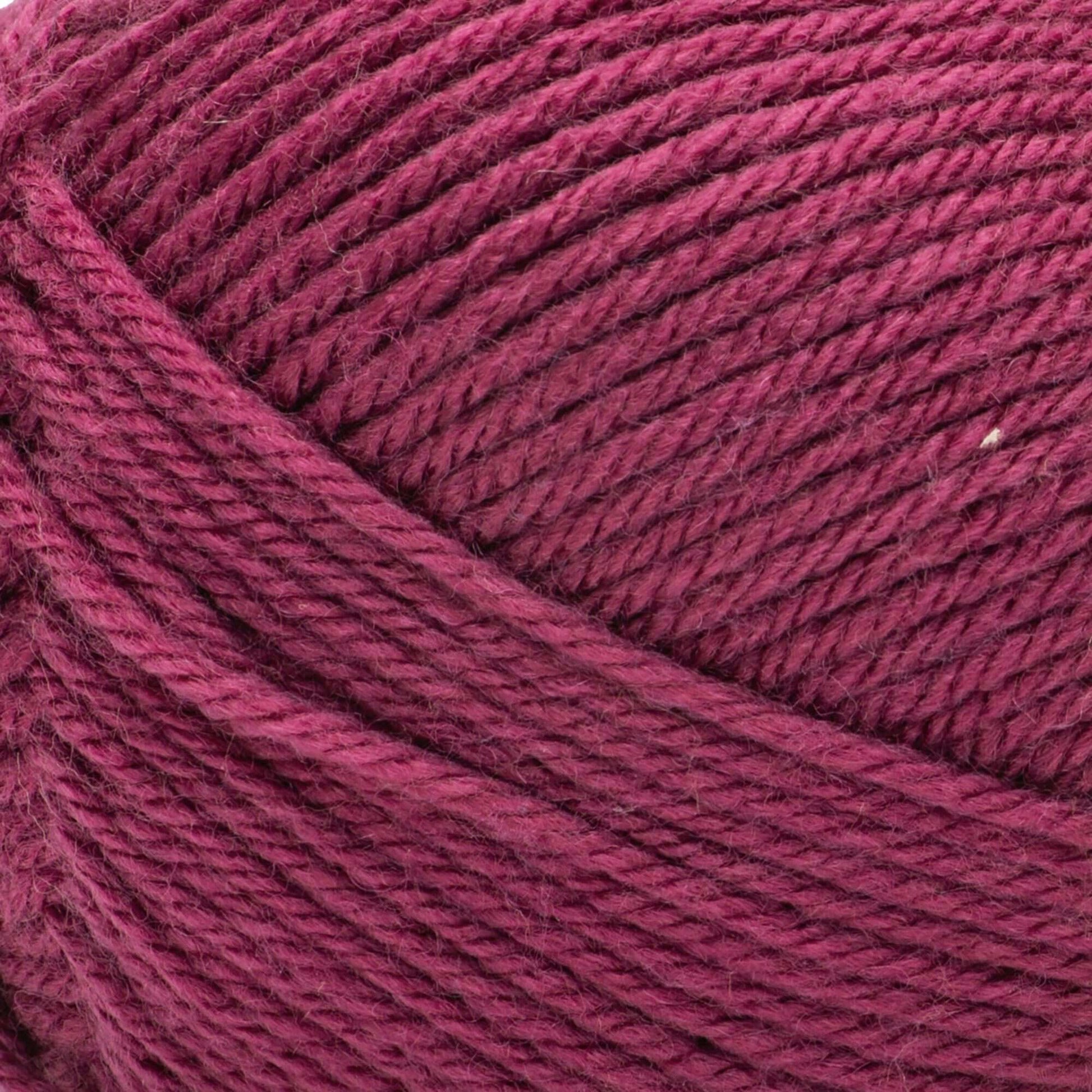 Bernat Fabwoolous Aran Yarn 160g