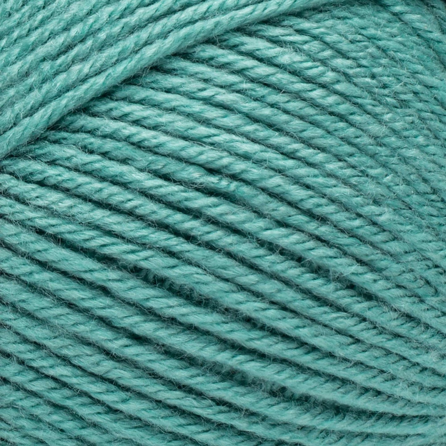 Bernat Fabwoolous Aran Yarn 160g