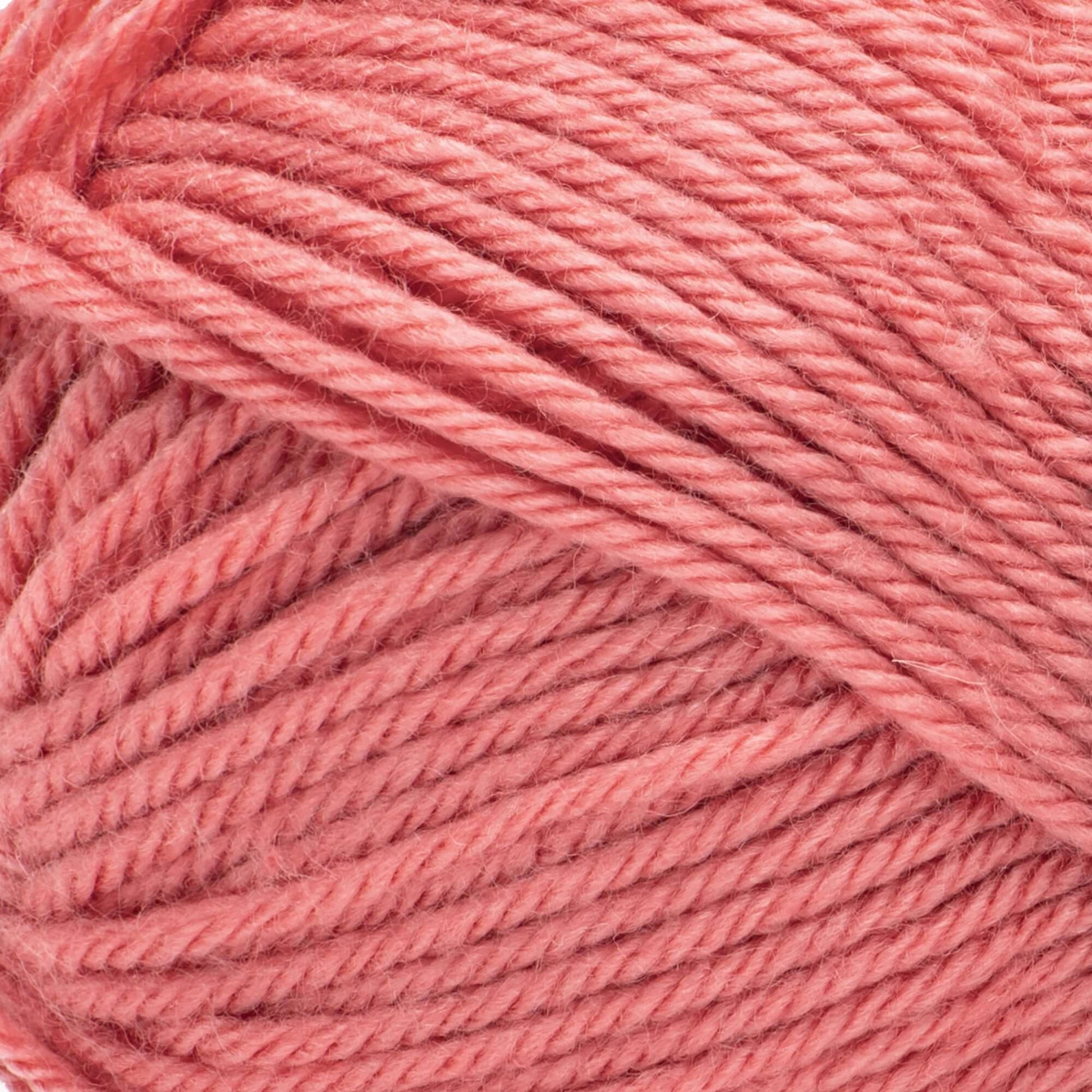 2 Ball Pack Bernat Fabwoolous Aran Yarn 160g
