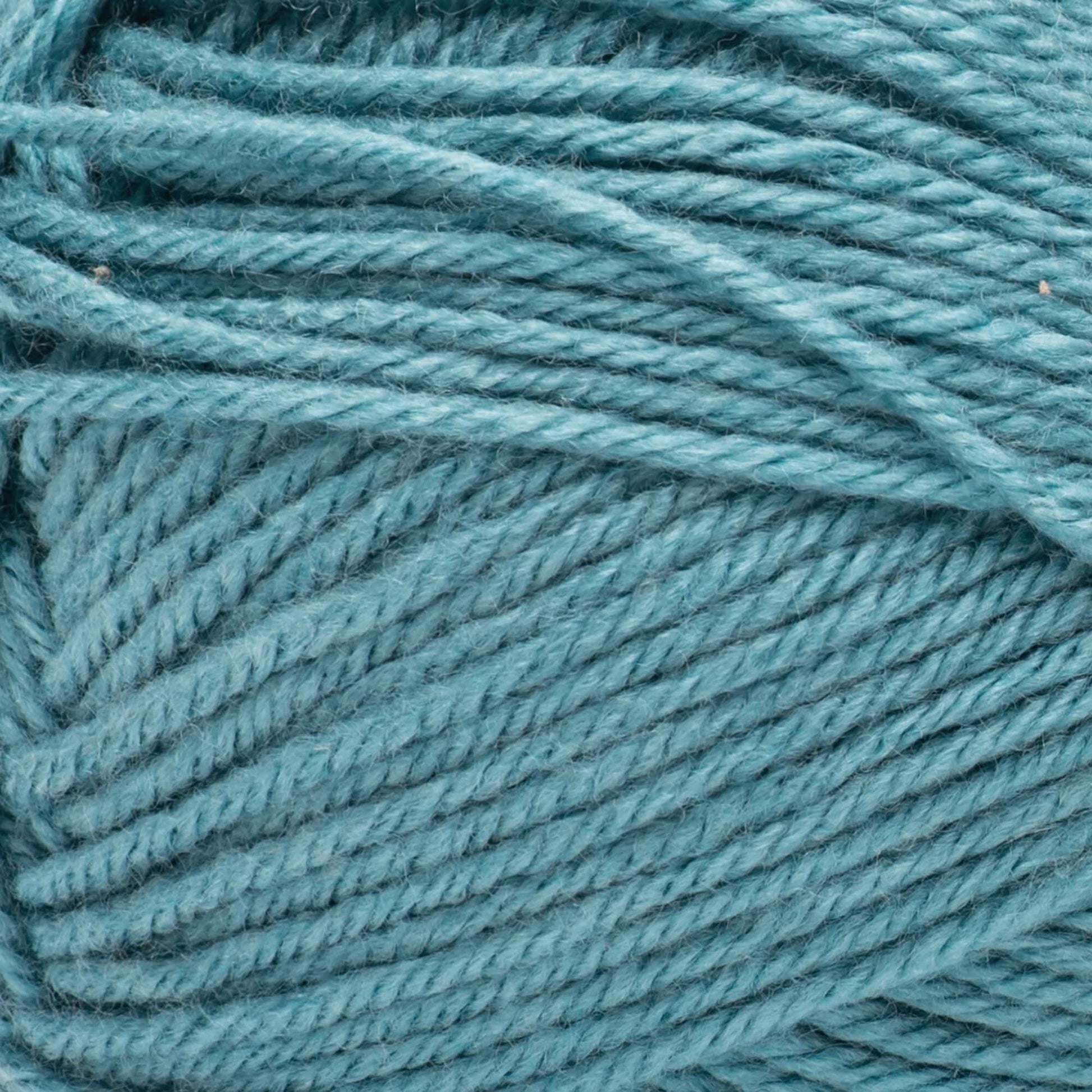 2 Ball Pack Bernat Fabwoolous Aran Yarn 160g