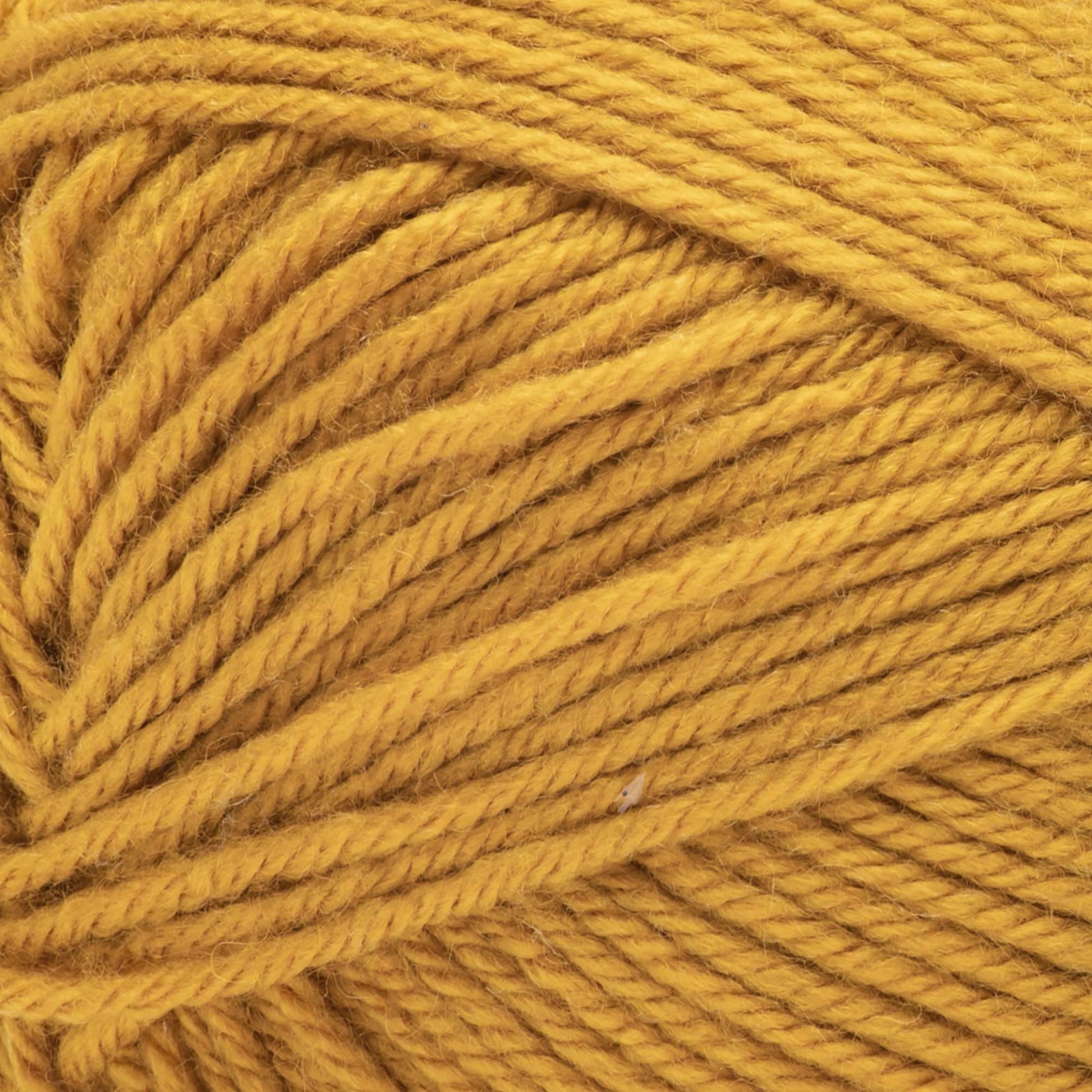 Bernat Fabwoolous Aran Yarn 160g