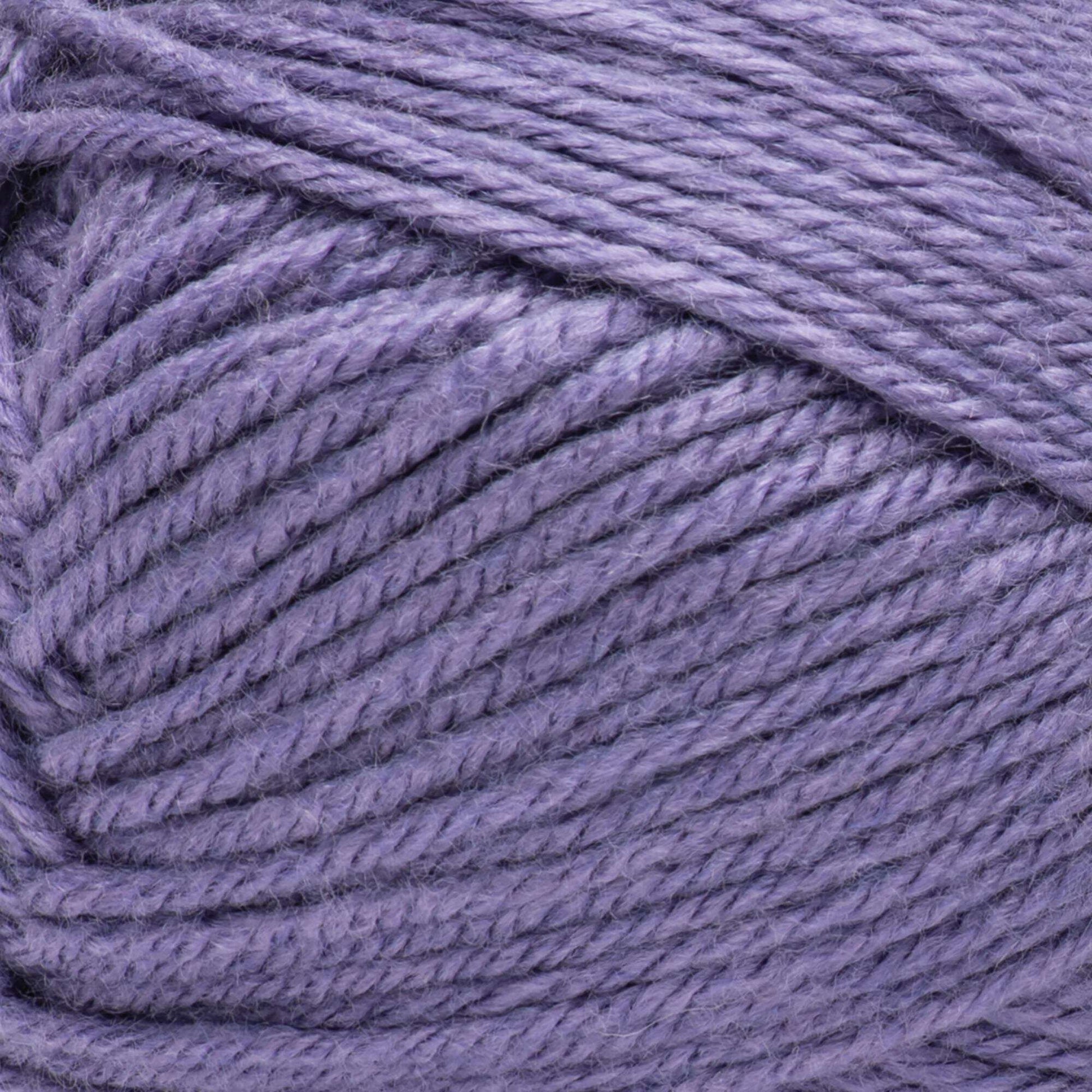 2 Ball Pack Bernat Fabwoolous Aran Yarn 160g