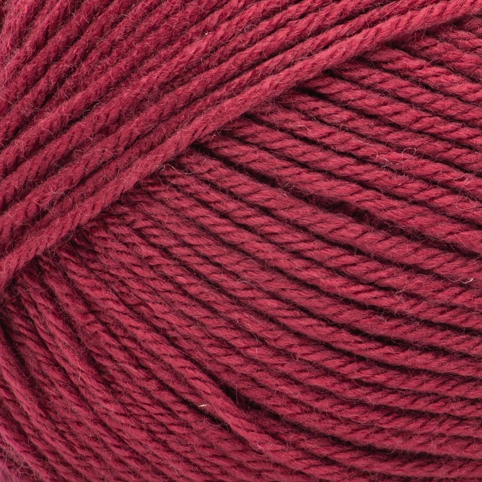 2 Ball Pack Bernat Fabwoolous Aran Yarn 160g