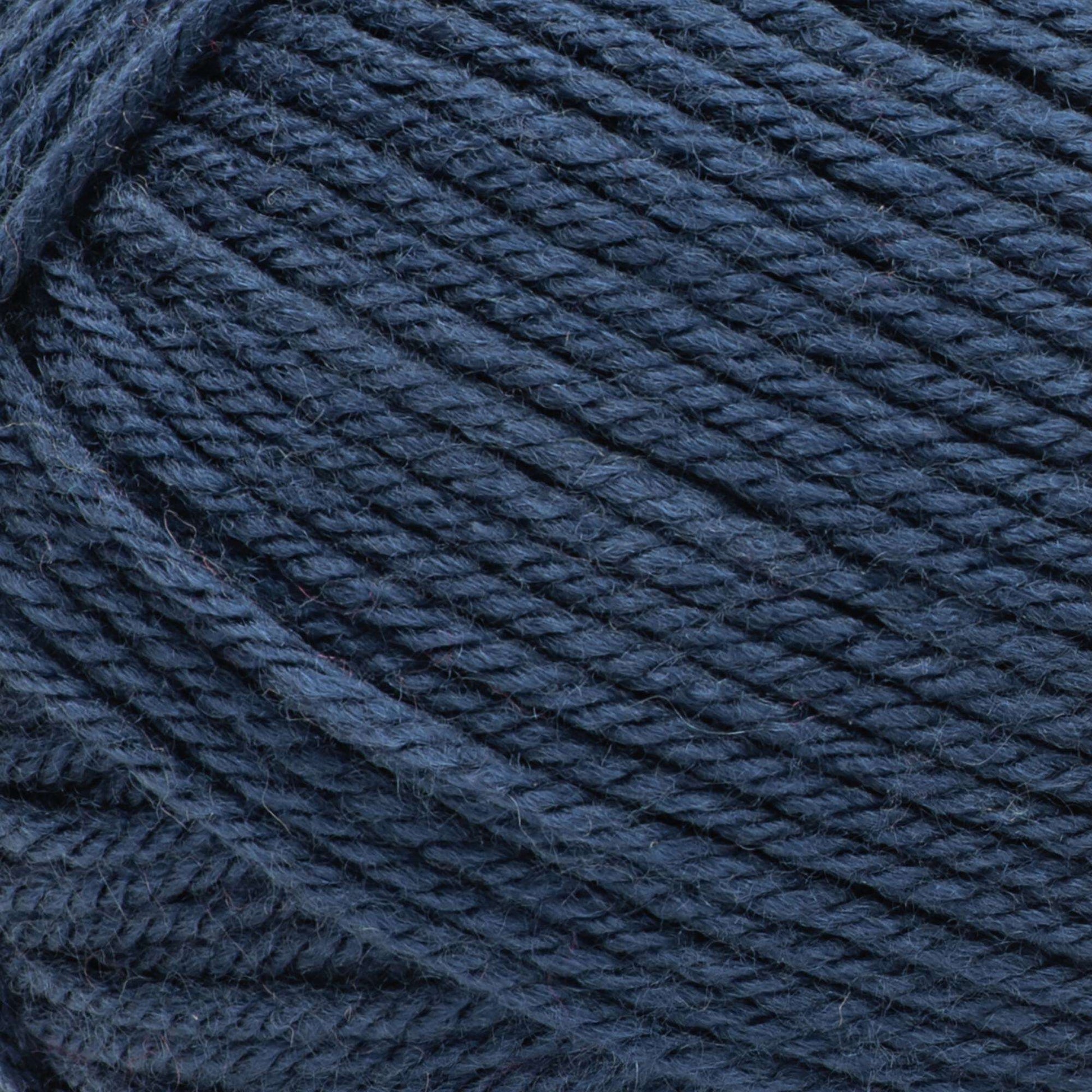 Bernat Fabwoolous Aran Yarn 160g