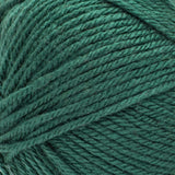 2 Ball Pack Bernat Fabwoolous Aran Yarn 160g