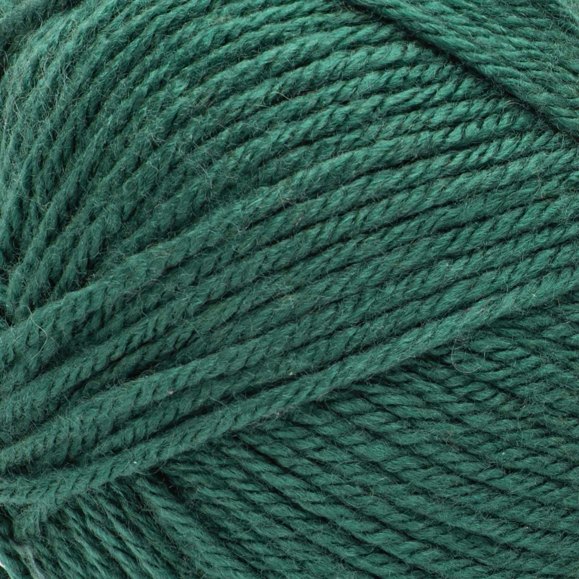 2 Ball Pack Bernat Fabwoolous Aran Yarn 160g