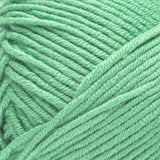 Caron Simply Me Yarn 200g