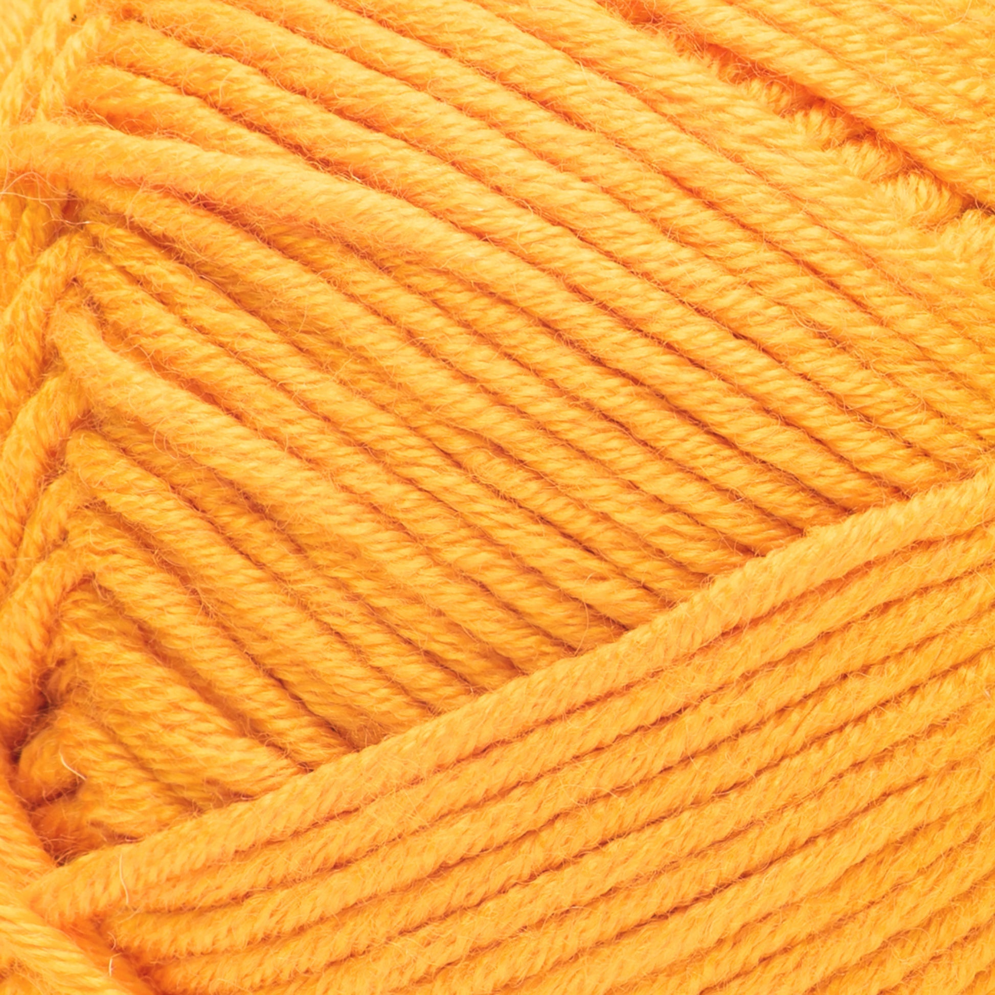 Caron Simply Me Yarn 200g