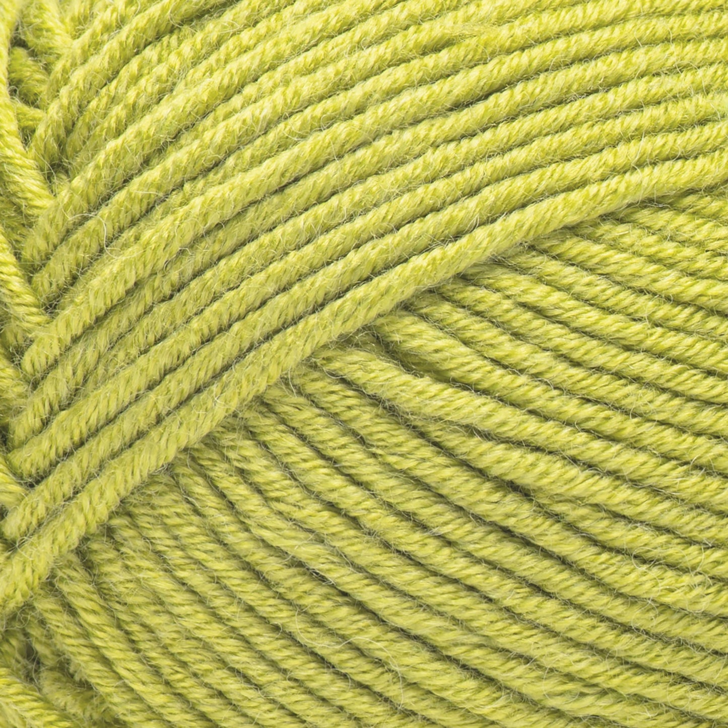 Caron Simply Me Yarn 200g