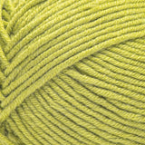 Caron Simply Me Yarn 200g