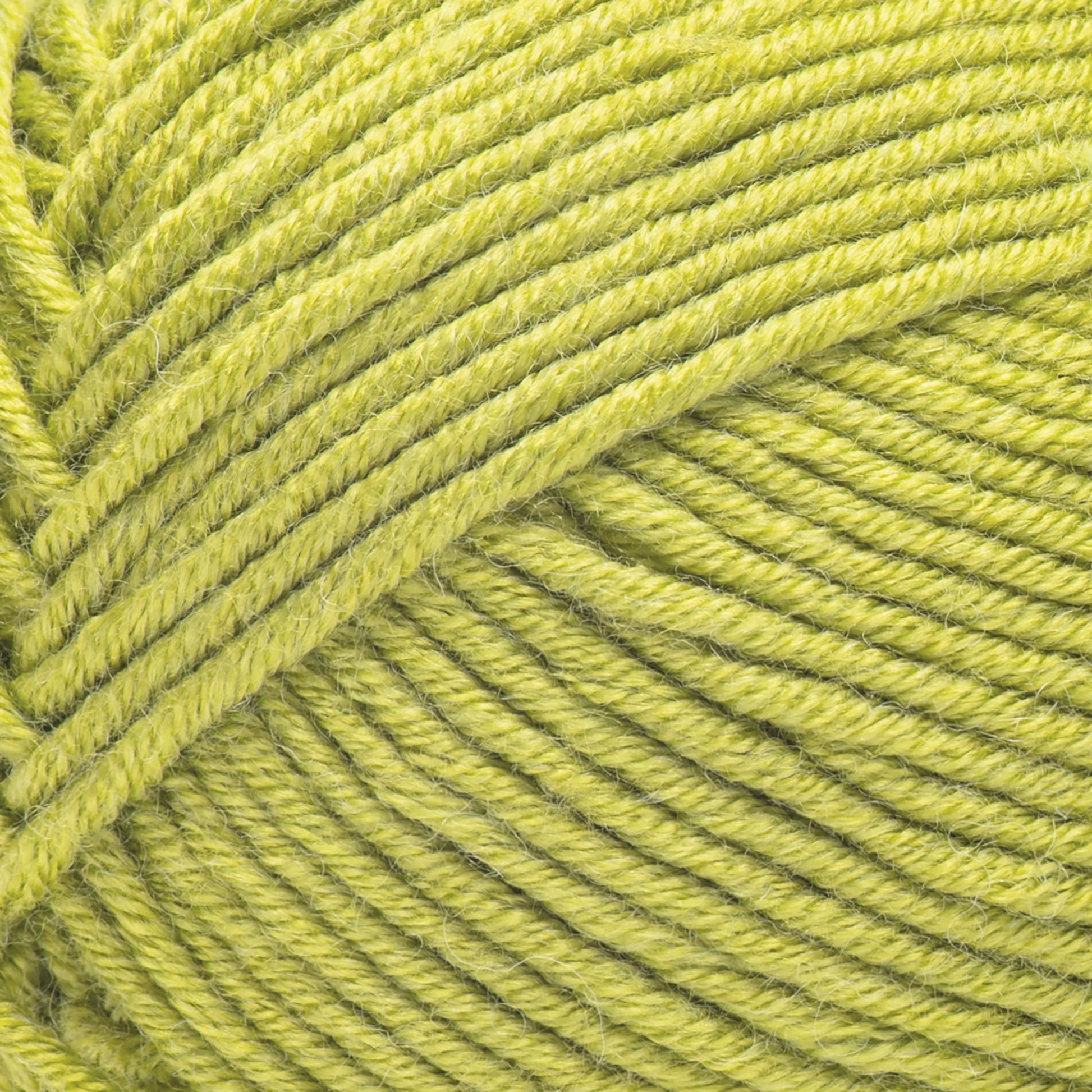 Caron Simply Me Yarn 200g