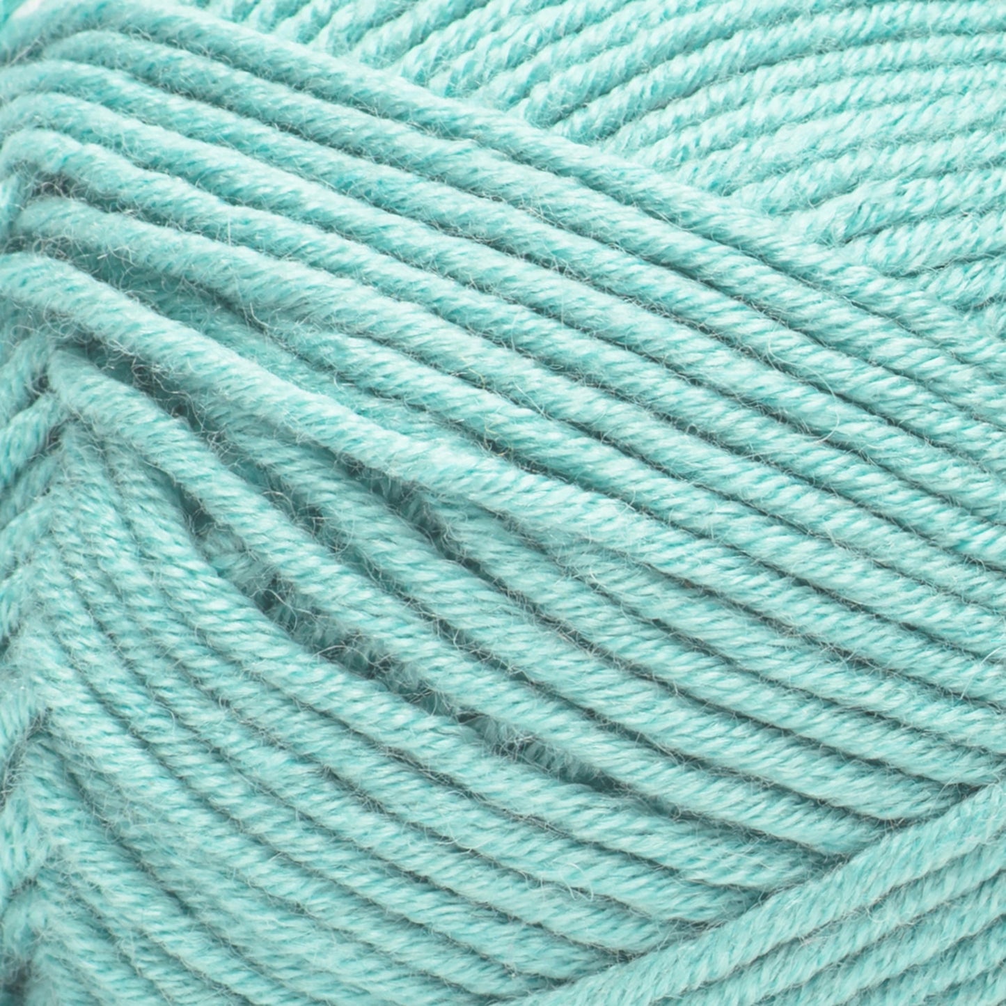 Caron Simply Me Yarn 200g