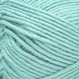 Caron Simply Me Yarn 200g