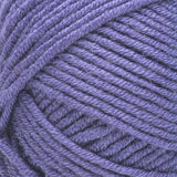 Caron Simply Me Yarn 200g