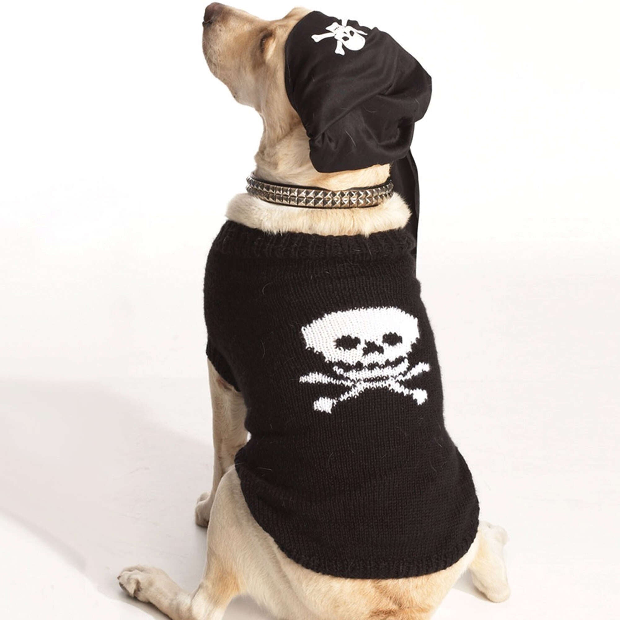 Bernat I-Matey Dog Coat (Digital Download)