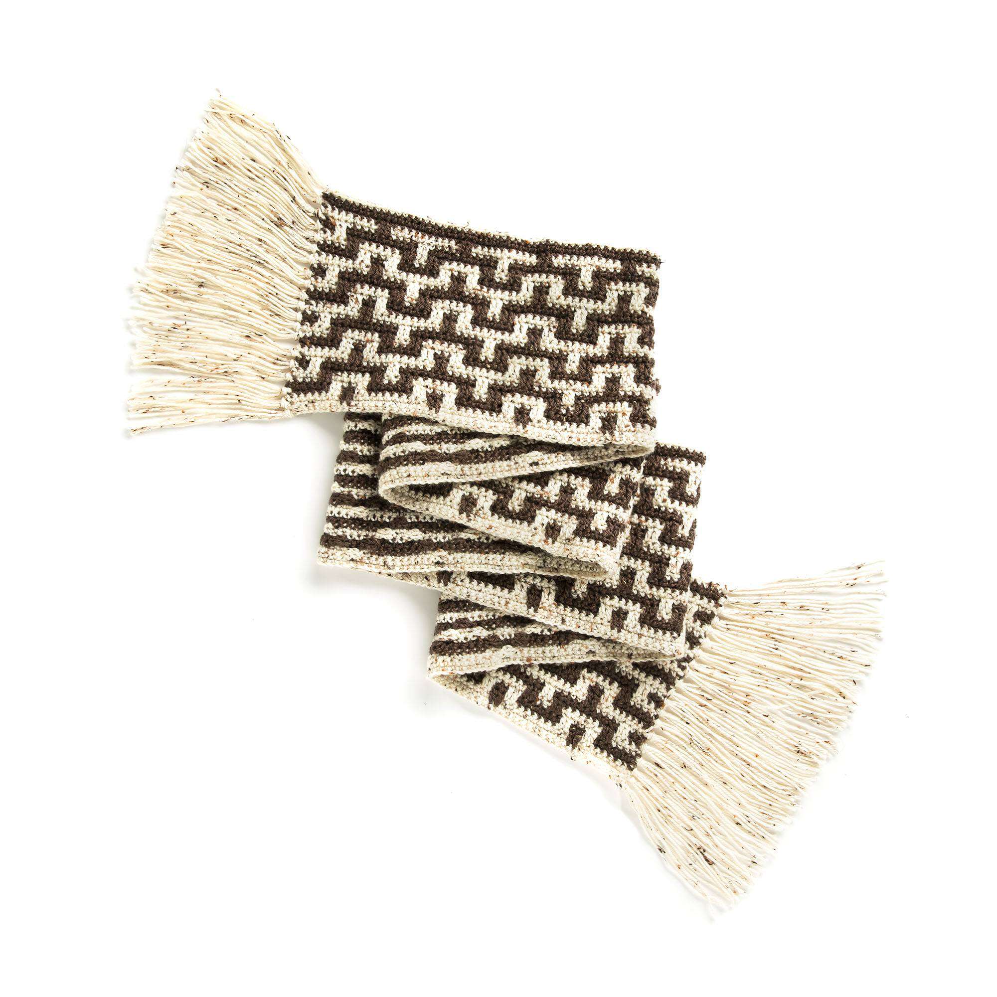 Caron Mosaic Stitch Crochet Scarf (Digital Download)