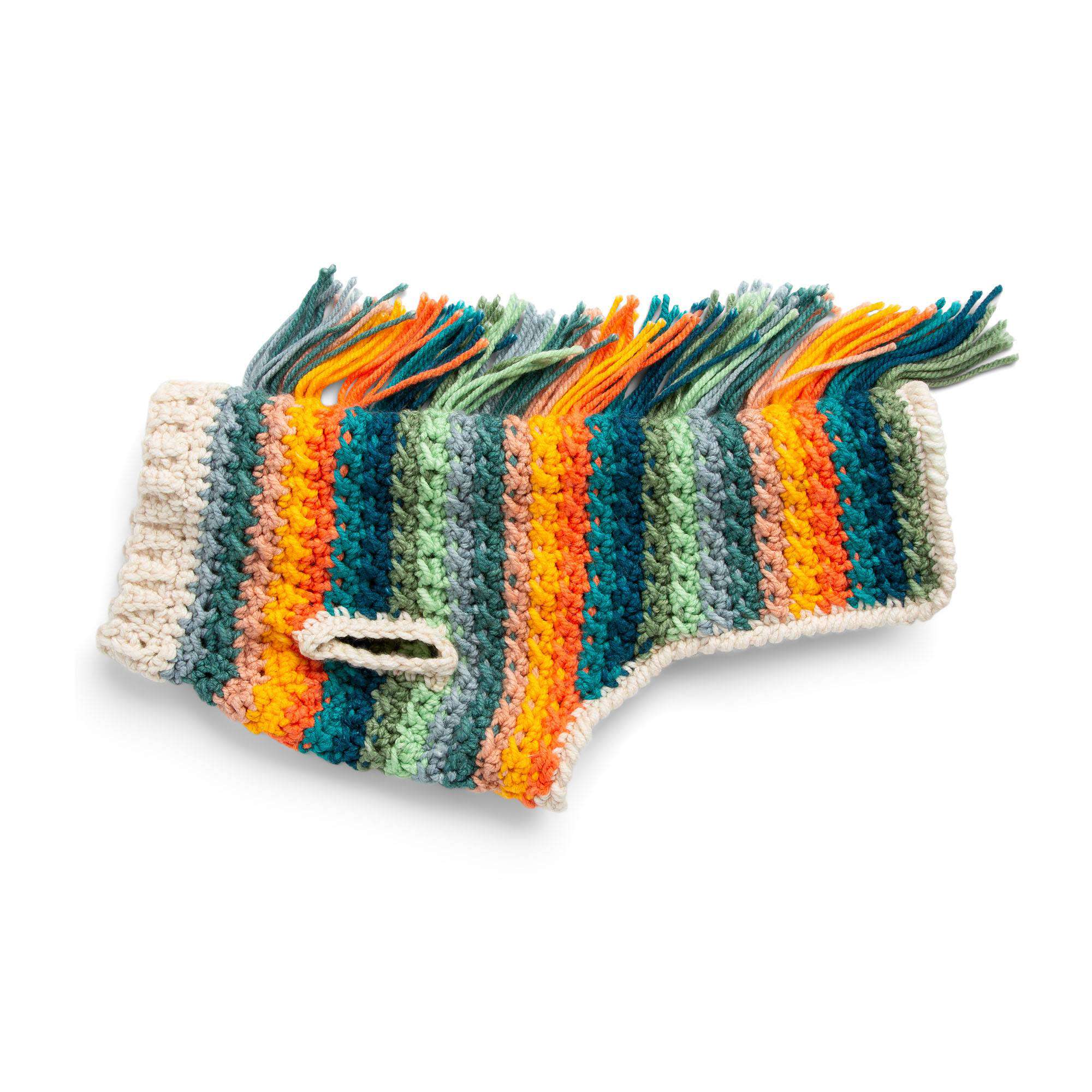 Caron Happy Dog Crochet Sweater (Digital Download)