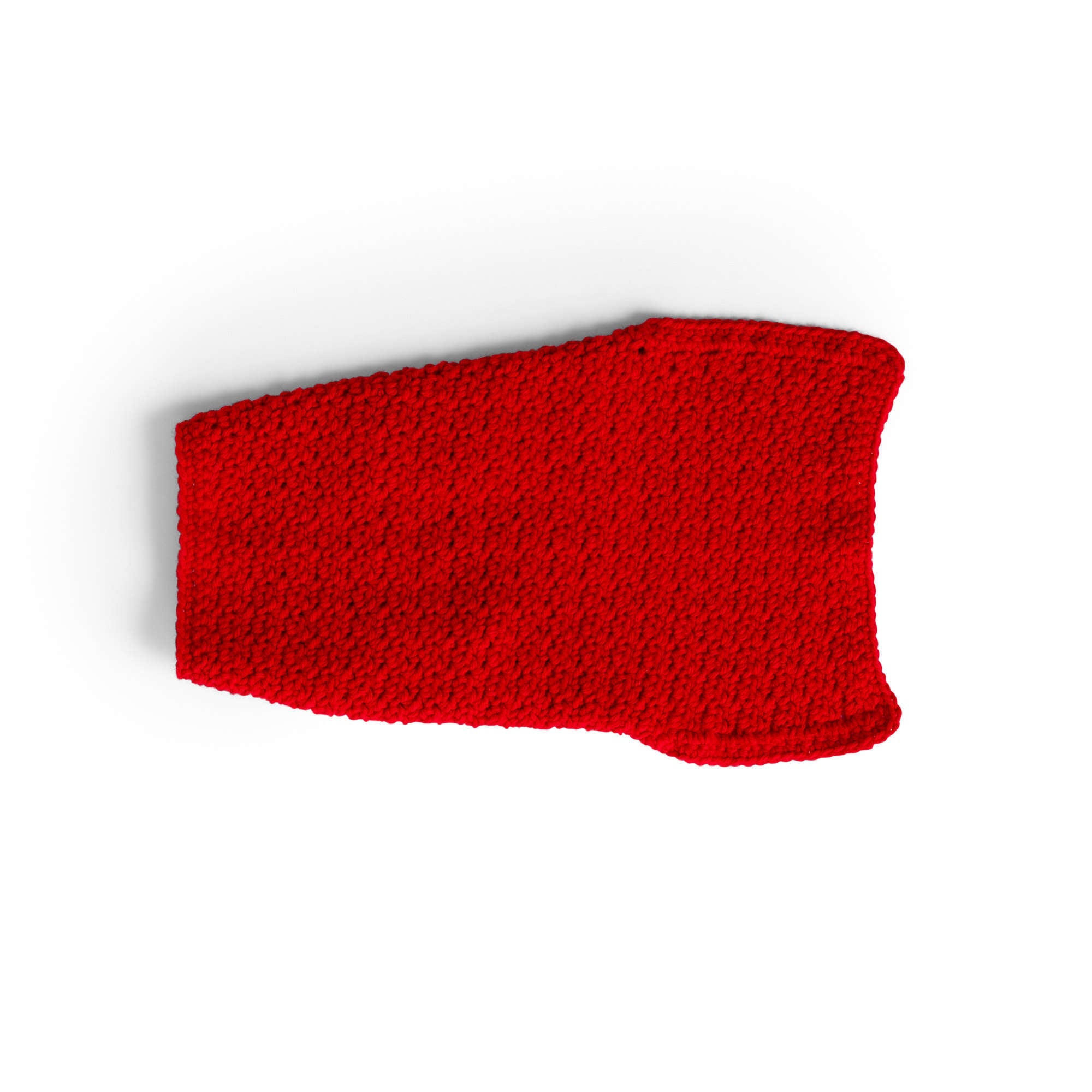 Caron Crochet Dog Coat (Digital Download)