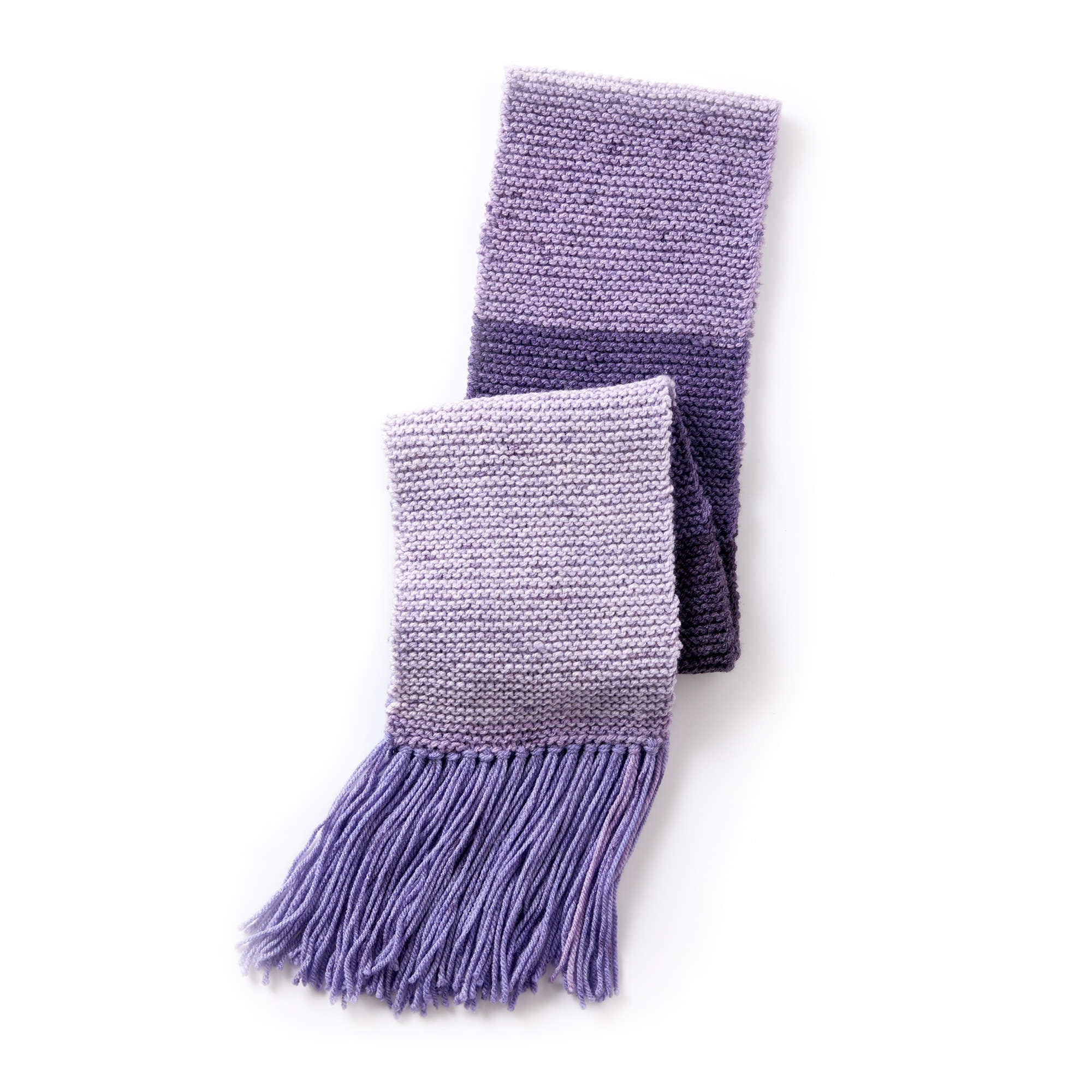 Caron Basic Knit Scarf (Digital Download)