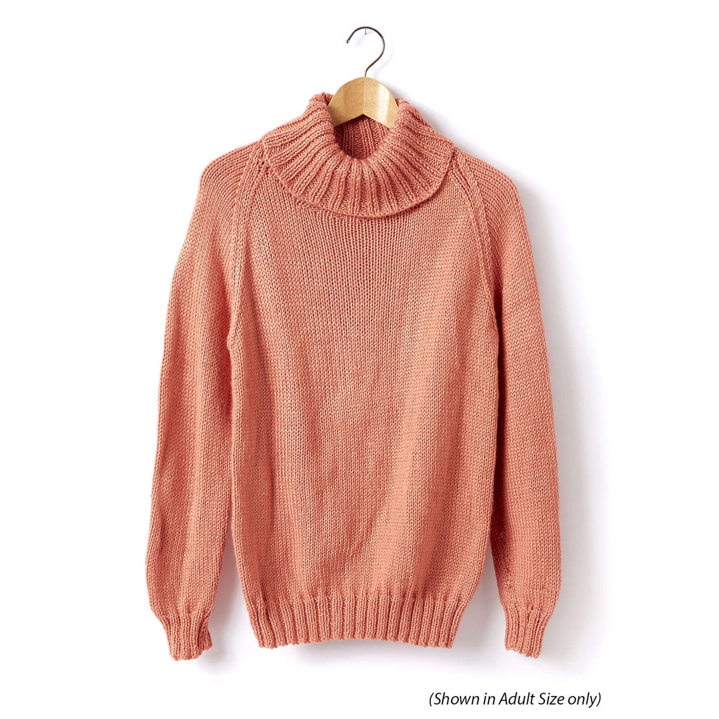 Caron Child's Knit Turtle Neck Pullover (Digital Download)