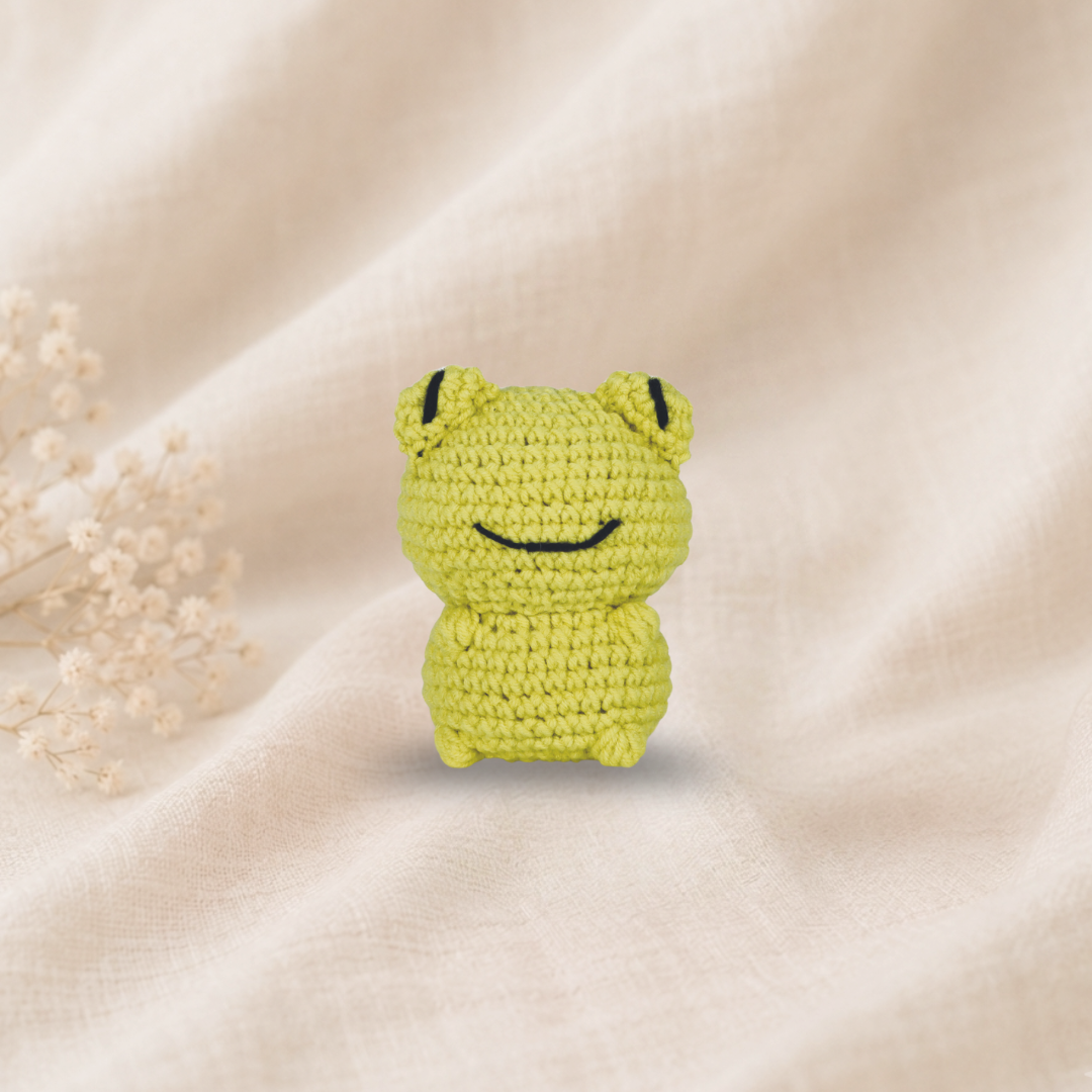 Knitty Critters - Pouch Pals V - Frankie Frog | DIY Amigurumi Crochet Kit