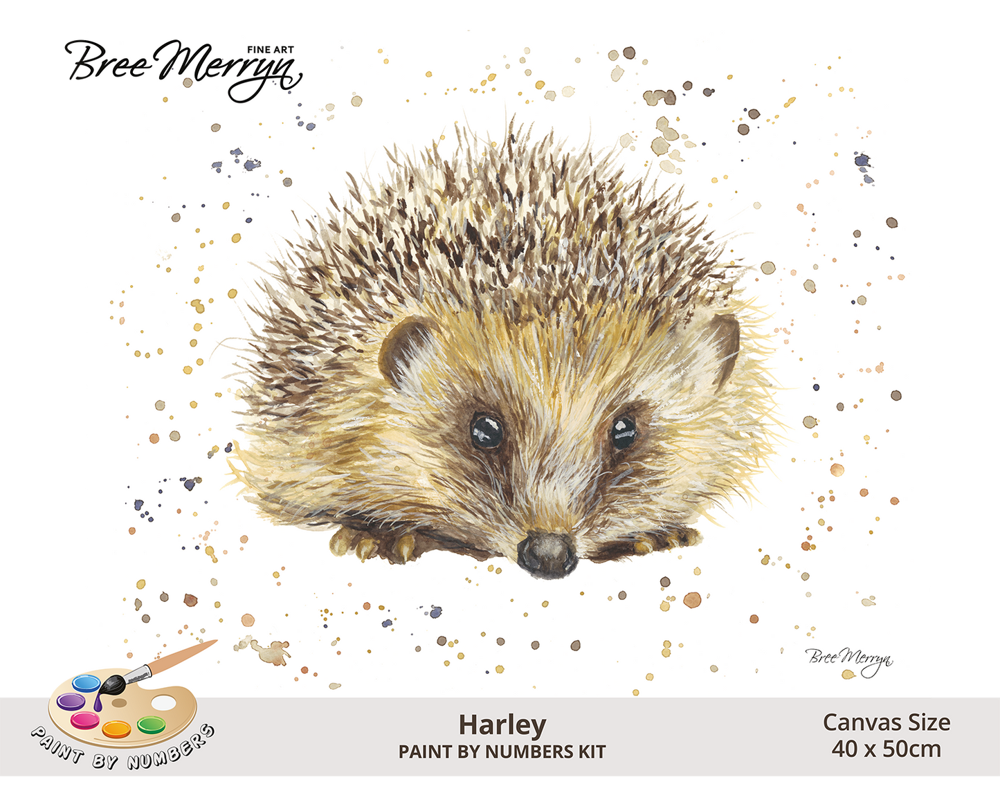 Bree Merryn Paint By Numbers 40cm x 50cm - Harley