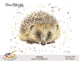 Bree Merryn Paint By Numbers 40cm x 50cm - Harley