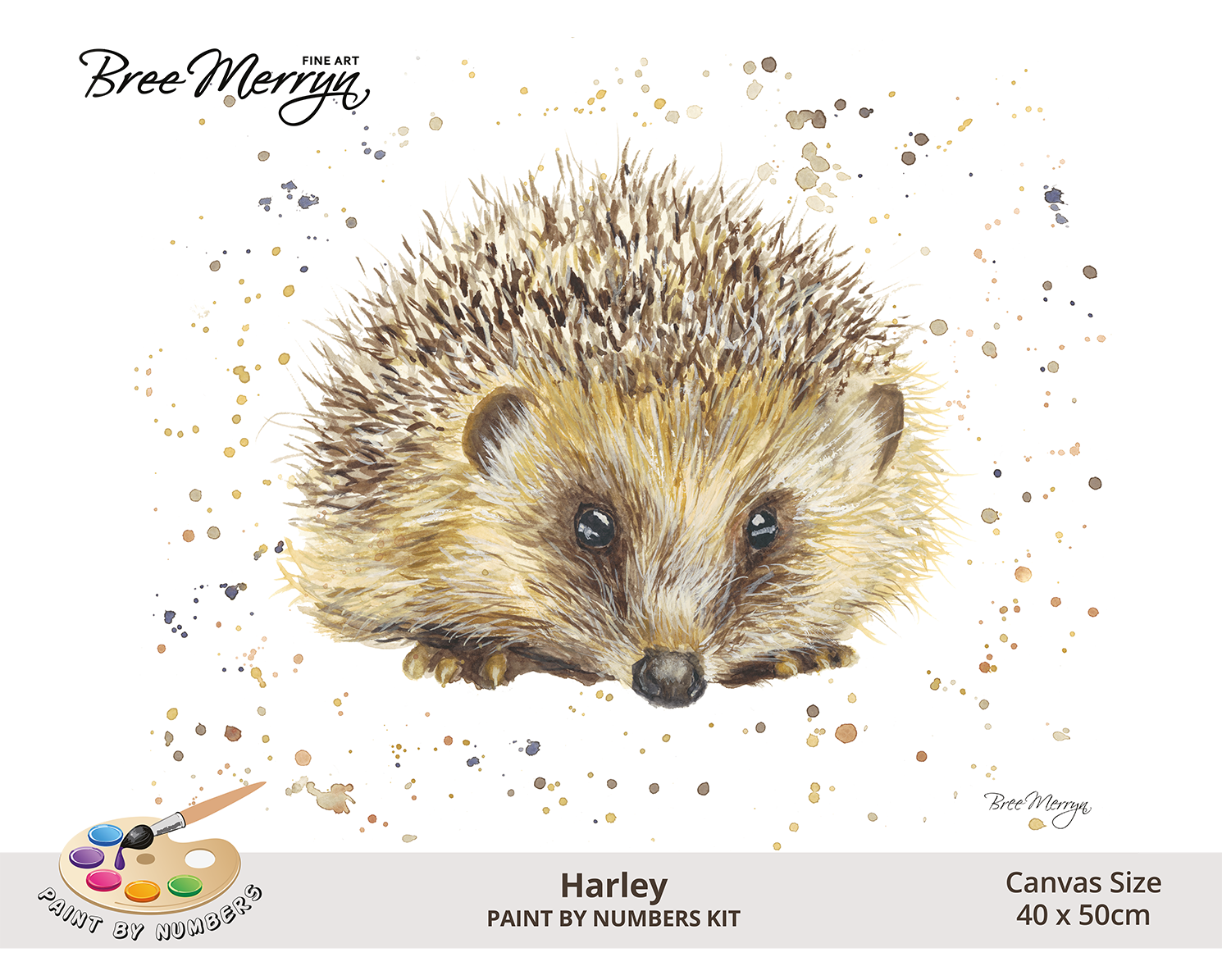 Bree Merryn Paint By Numbers 40cm x 50cm - Harley
