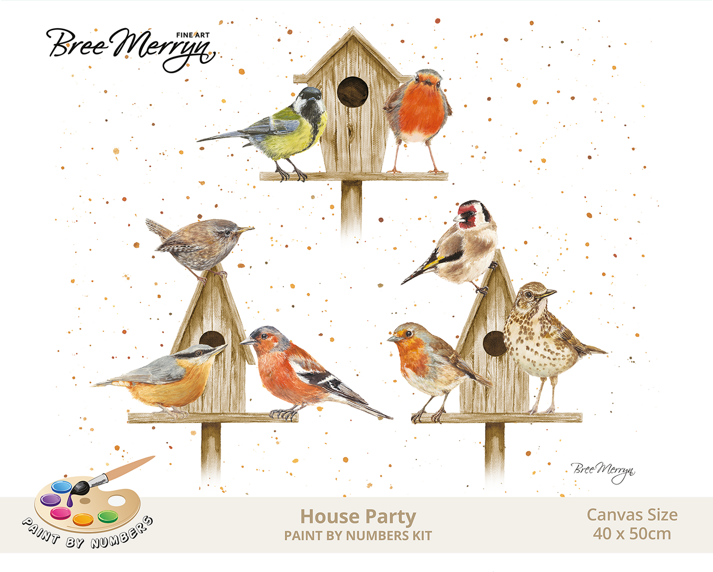 Bree Merryn Paint By Numbers 40cm x 50cm - House Party