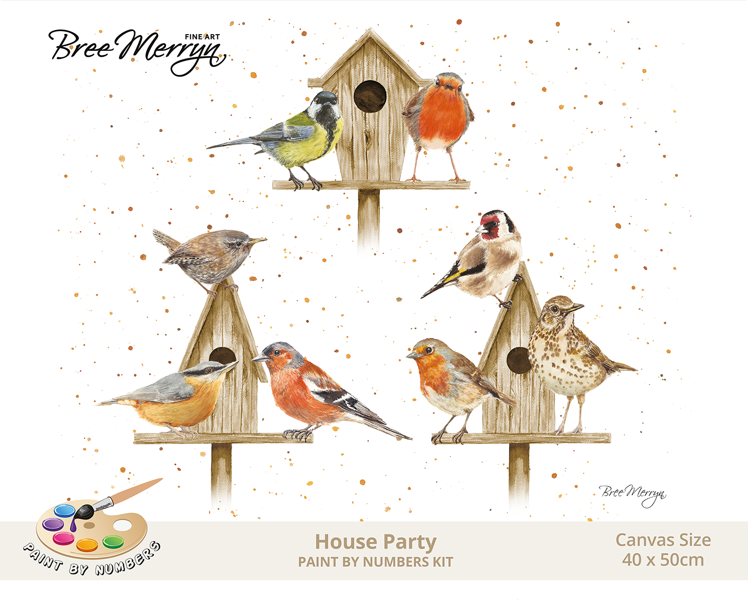 Bree Merryn Paint By Numbers 40cm x 50cm - House Party