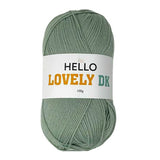 Hello Lovely DK Yarn - 100g