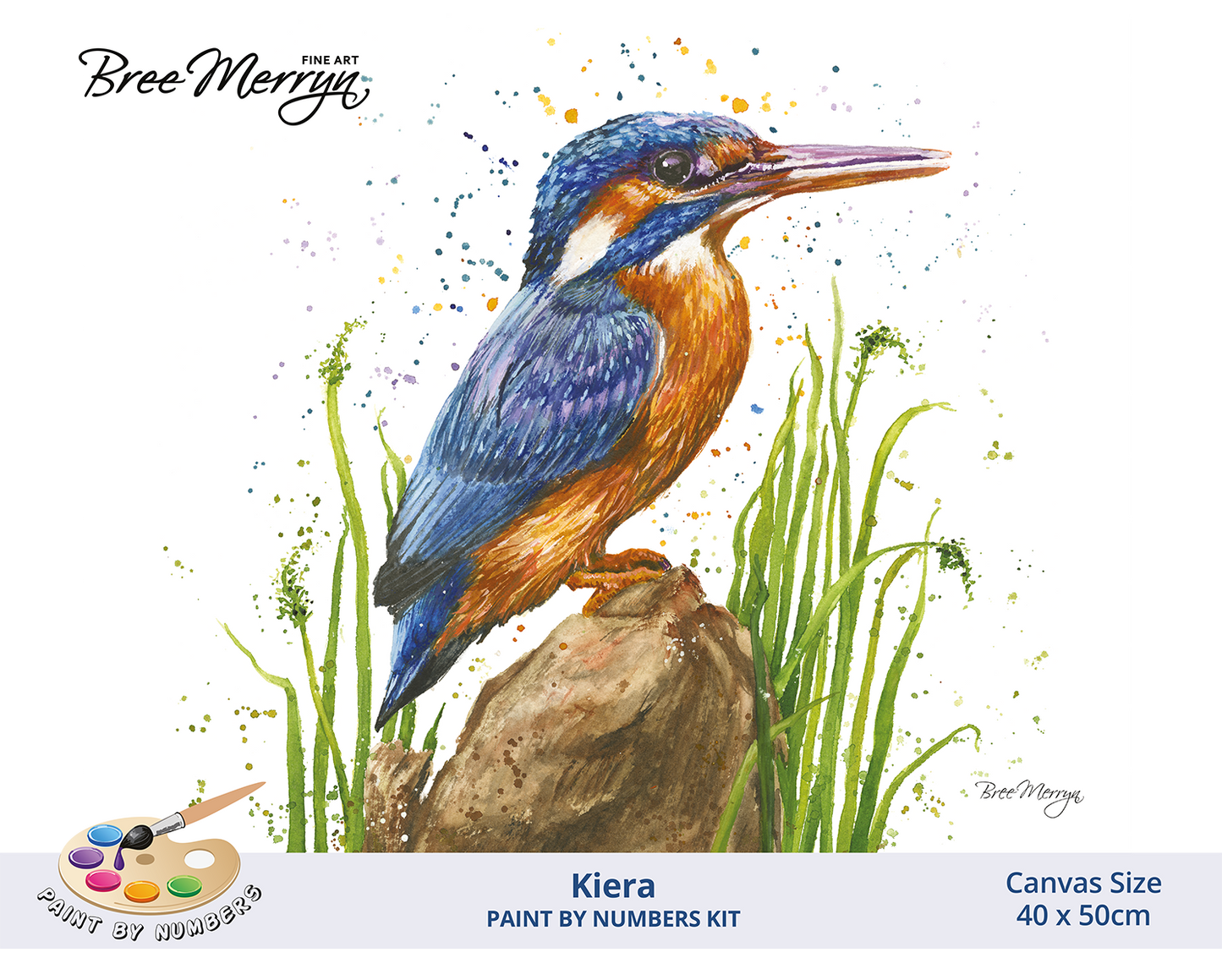 Bree Merryn Paint By Numbers 40cm x 50cm - Keira