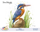Bree Merryn Paint By Numbers 40cm x 50cm - Keira