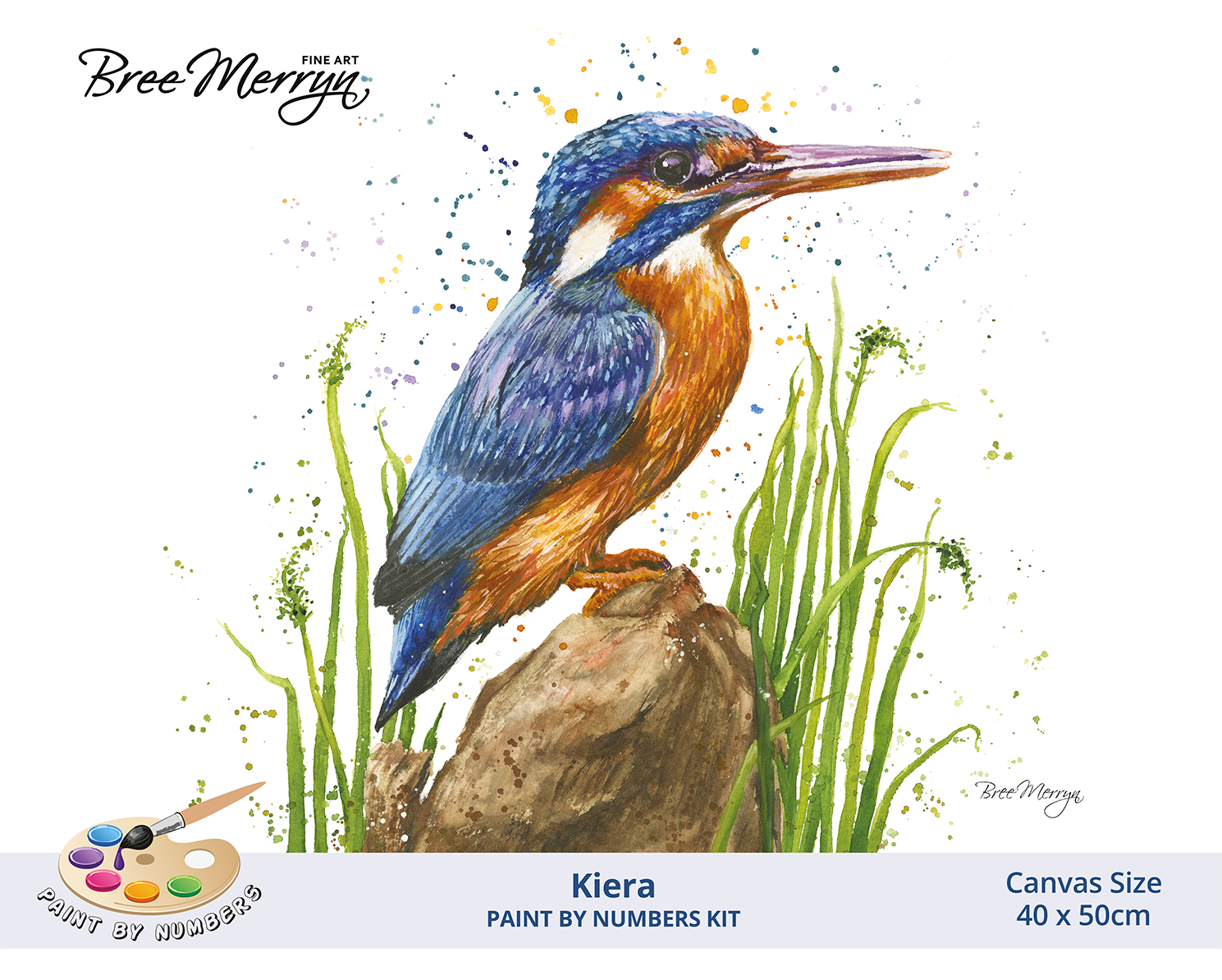 Bree Merryn Paint By Numbers 40cm x 50cm - Keira