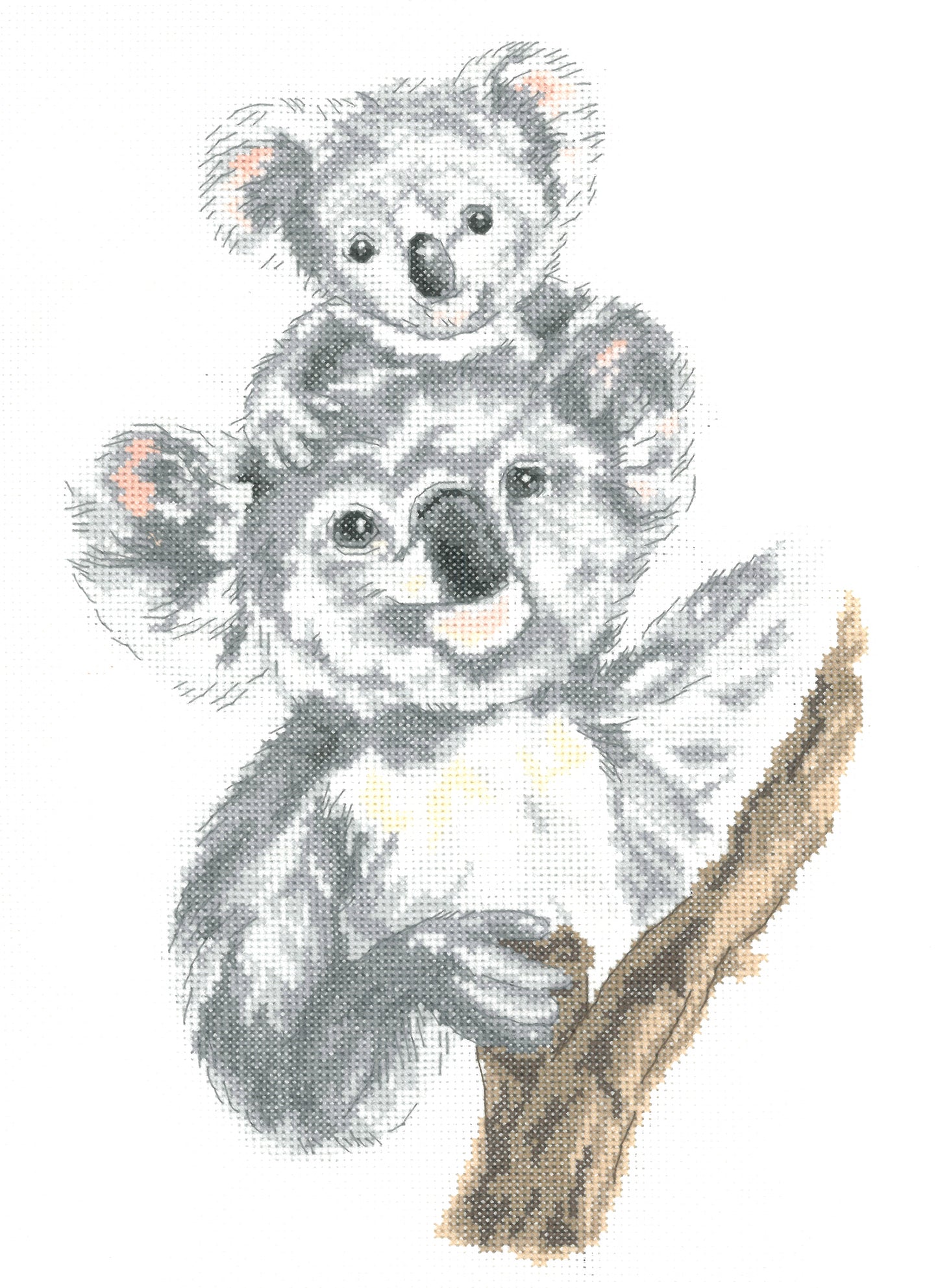 Martha Bowyer Counted Cross Stitch Kit - Koala
