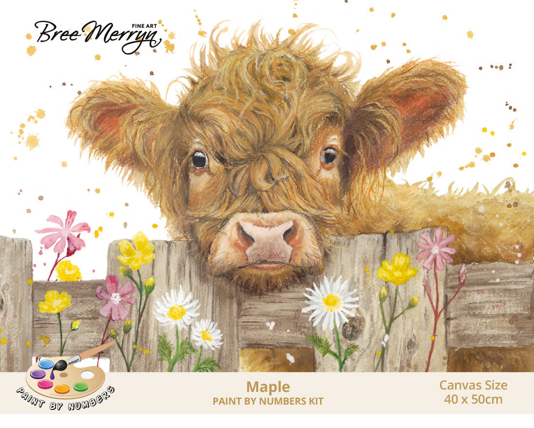 Bree Merryn Paint By Numbers 40cm x 50cm - Maple