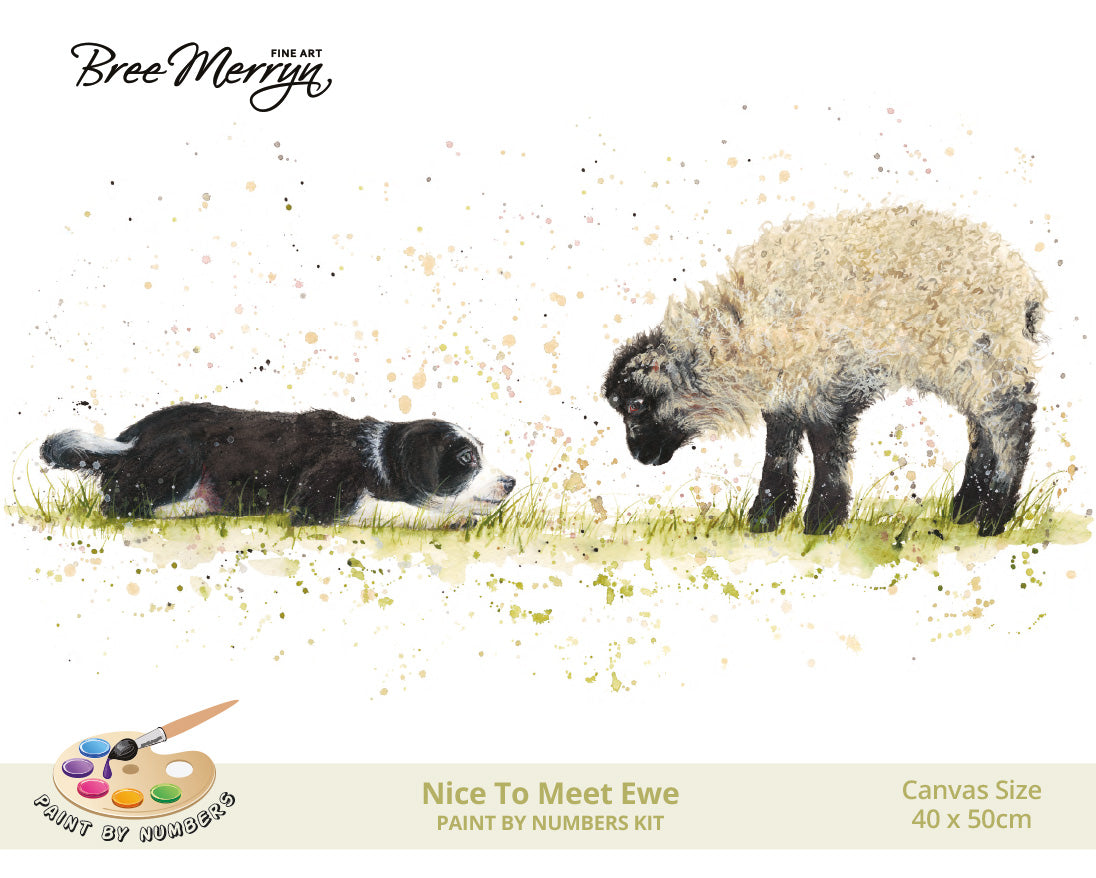 Bree Merryn Paint By Numbers 40cm x 50cm - Nice To Meet Ewe