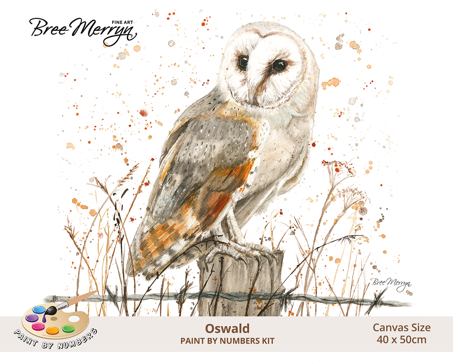 Bree Merryn Paint By Numbers 40cm x 50cm - Oswald