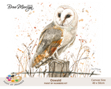 Bree Merryn Paint By Numbers 40cm x 50cm - Oswald