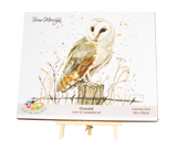 Bree Merryn Paint By Numbers 40cm x 50cm - Oswald