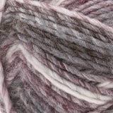 2 Ball Pack Bernat Symphony Chunky Yarn 225g