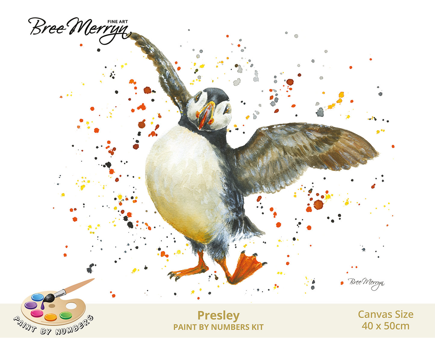 Bree Merryn Paint By Numbers 40cm x 50cm - Presley
