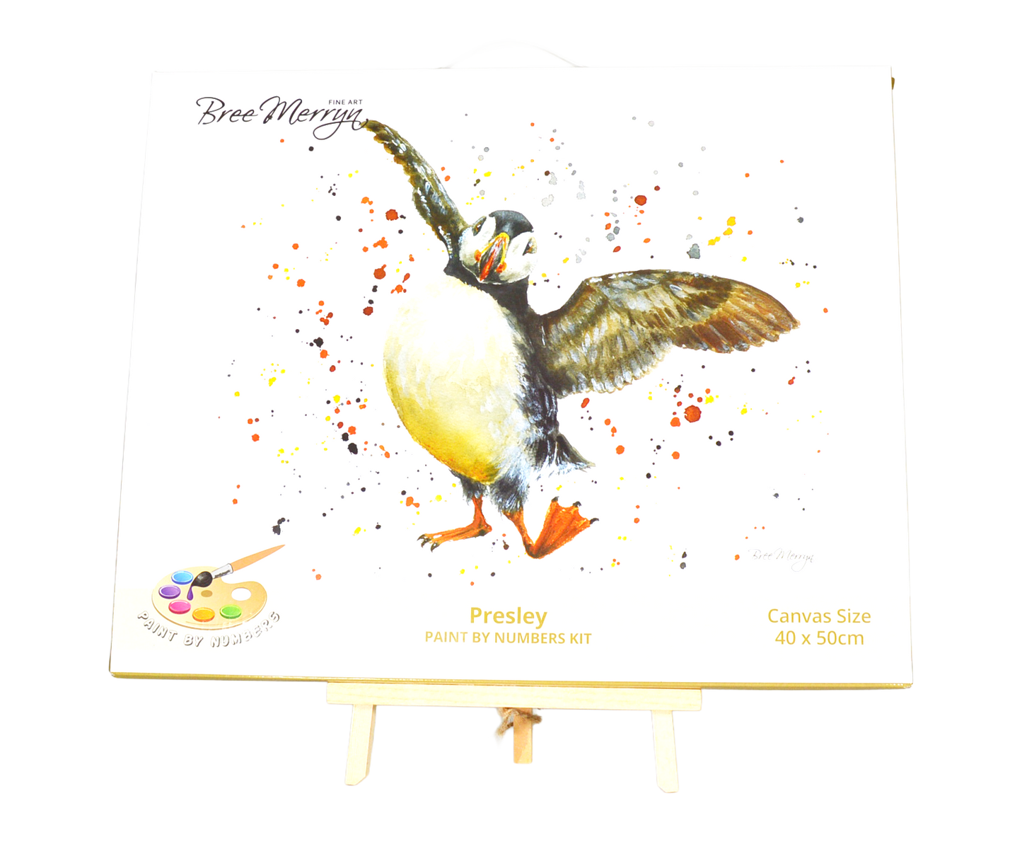 Bree Merryn Paint By Numbers 40cm x 50cm - Presley