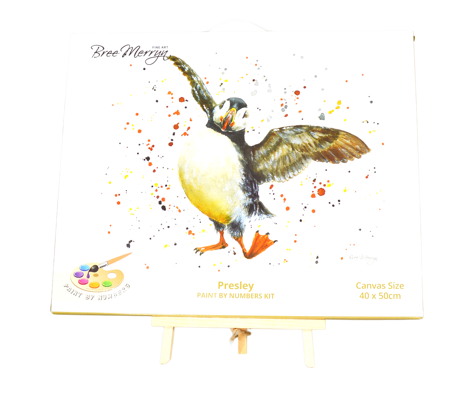 Bree Merryn Paint By Numbers 40cm x 50cm - Presley